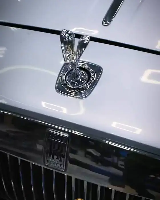 Detail of a finished bonnet and grille